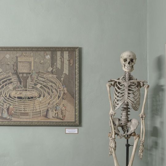 Paula Stradin̦a Medicīnas vēstures muzejs