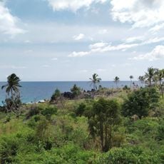 Comoros forests