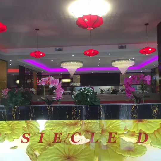 Le Siecle d'Or