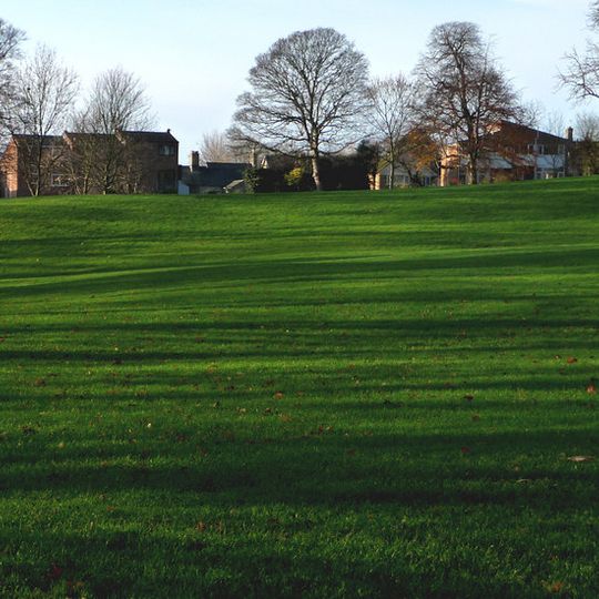 'Cherry Hill', castle mound