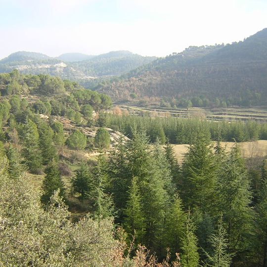 L'Estoviada de la Païssa