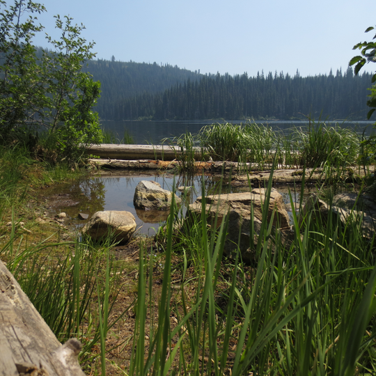 Parc provincial Trepanier