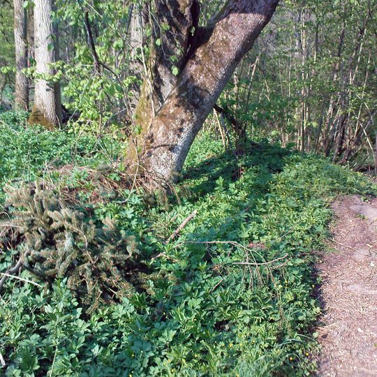 Wässernachtal im Landkreis Haßfurt - Teil II