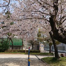 Sakurada Park