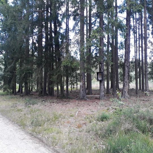 Obrázek severně od Vlkova