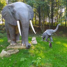 Parc Animalier Guiguitte en Folie