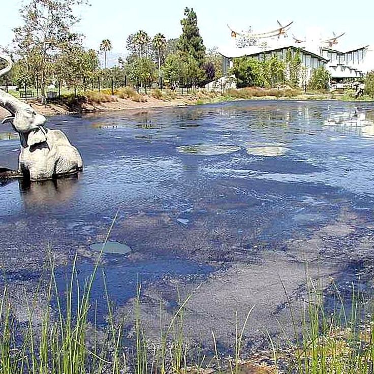 La Brea Tar Pits & Museum