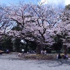 Kamonyama Park