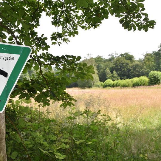 Erlenwiesen bei Ober-Roden