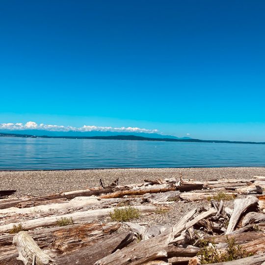 Driftwood Sculpture Walk, Lincoln Park, West Seattle