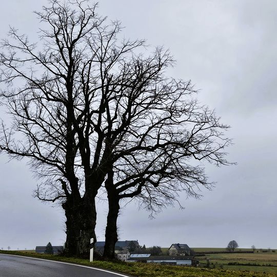 Lannen op der Scheedelerknupp