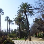Historical and cultural sites in Seville