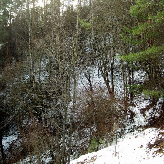 Gariūnų sufozinis cirkas