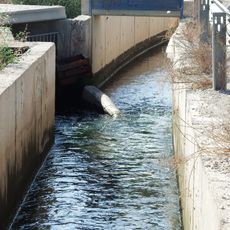 Llengües del Palmar-Masquefa