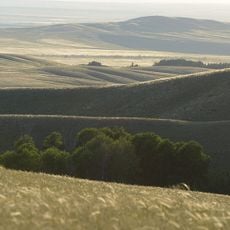 Orenburg Nature Reserve