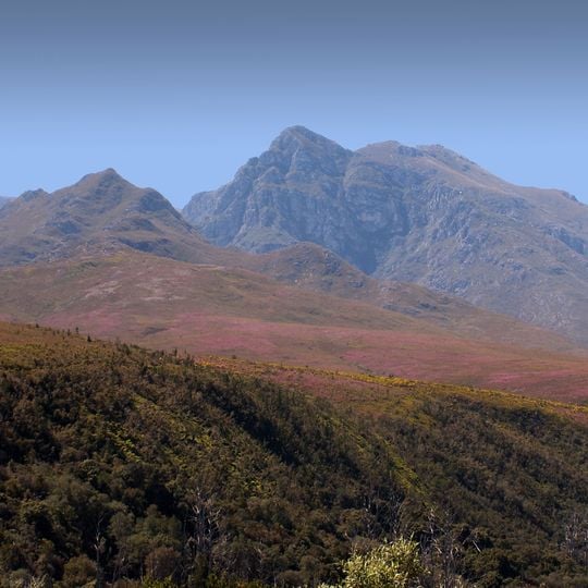 Boosmansbos Wilderness Area