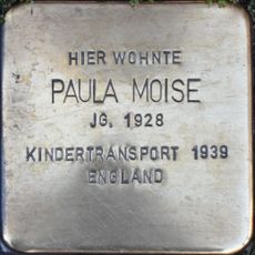 Paula Moise