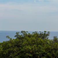 Tamarindo