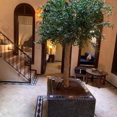 Riad M'barka