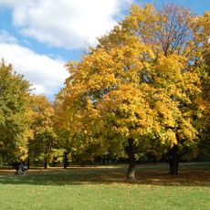Mokotów Field