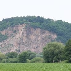 Bosel und Elbhänge nördlich Meißen