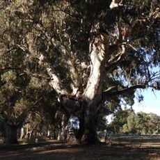 Barossa Bushgardens