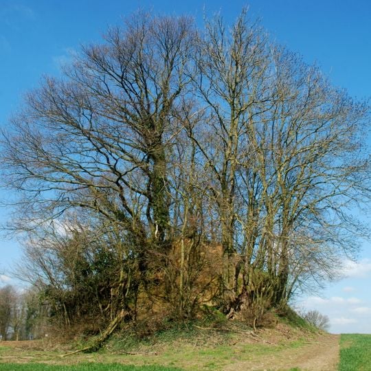 Tumuli bei Libersart