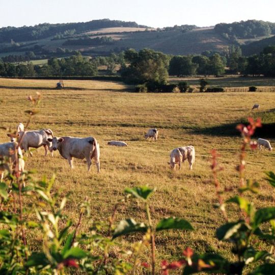 Le Charolais-Brionnais, paysage culturel de l'élevage bovin