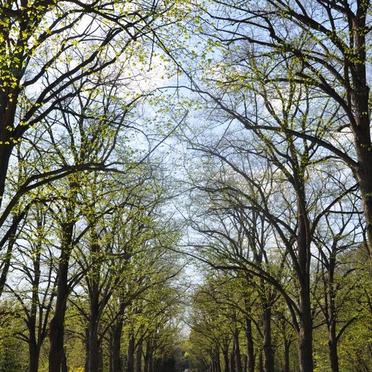 Queen Elisabeth Park, Gödöllő