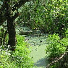 Manor Park in Wielkie Lniska