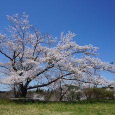笑沢自然公園
