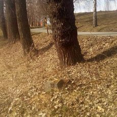 Kříž východně od Mnichu u silnice