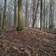 Polní opevnění postavení děl z války 1866