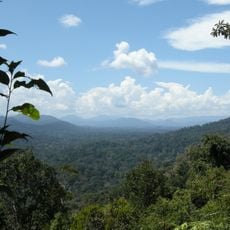 Parc national de Taman Negara