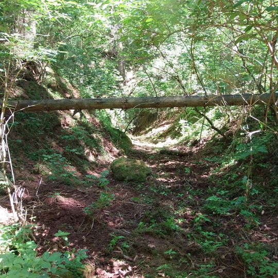 Soběchlebské terasy