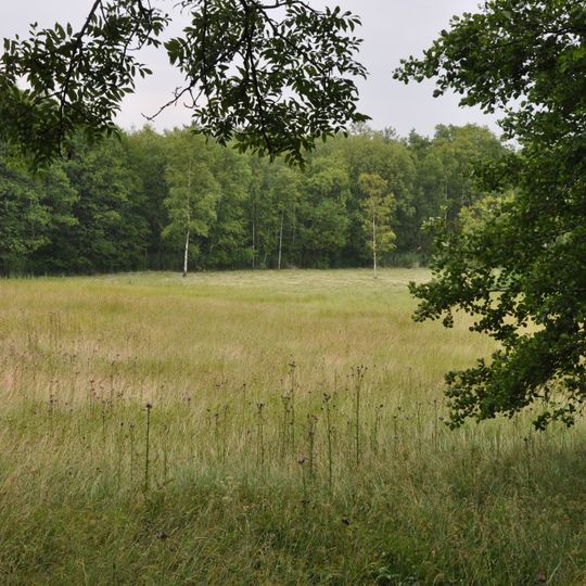 Rašeliniště Kaliště