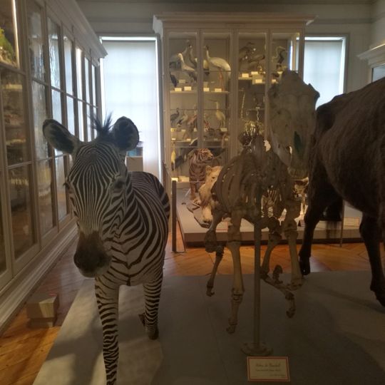 Muséum d'Histoire naturelle de La Rochelle