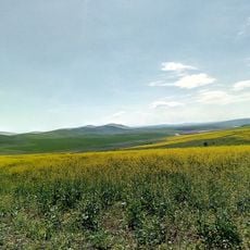 Ділянка Бельцького степу