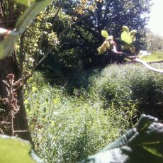 Omgrachting van het Huis Harmelen