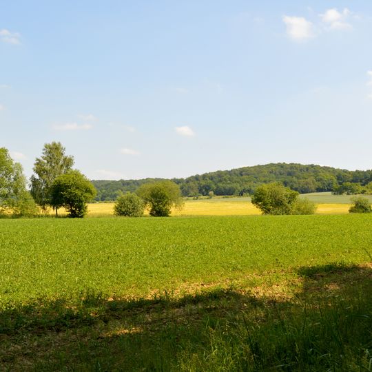 Gallberg, Finkenberg und Lerchenberg