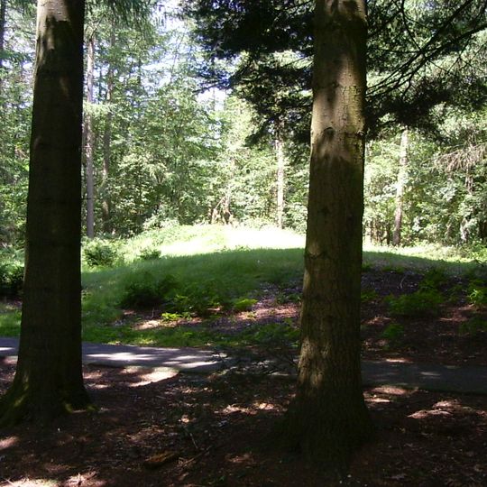 Terrein waarin zeven grafheuvels