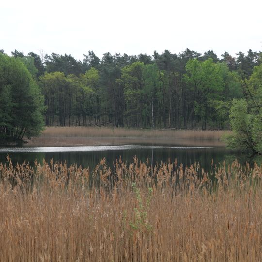 Gumnitz und Großer Schlagenthinsee