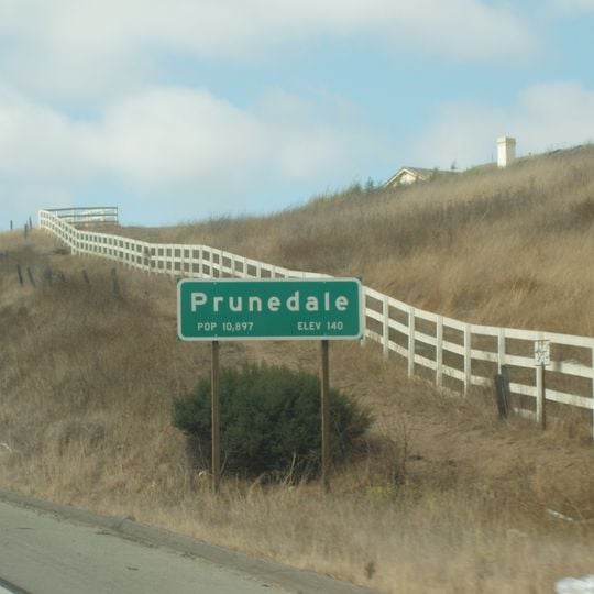Prunedale