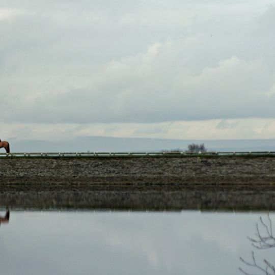 Lower Roddlesworth Reservoir