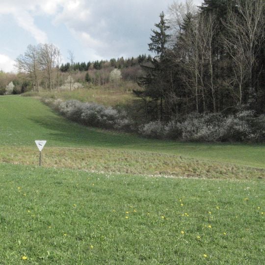 Feuchtgebiet Buchenschnäue