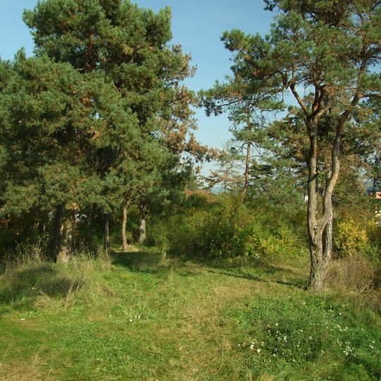 Zahořanský stratotyp