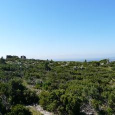 Vila Reial de Salvaterra