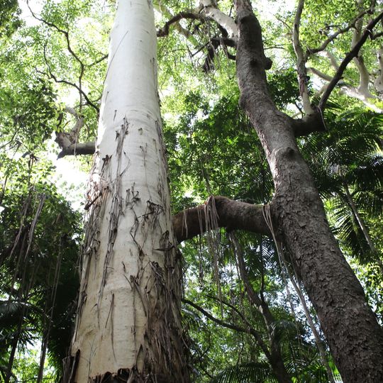 Parco nazionale di Yarriabini