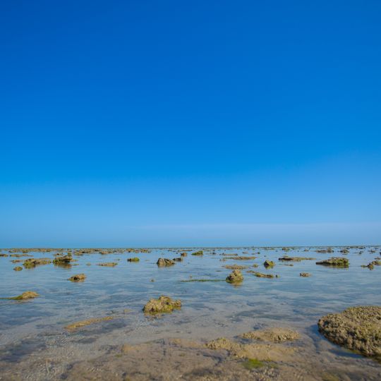 Parque nacional marino del Golfo de Kutch