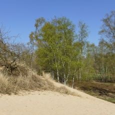 Boberger Düne und Hangterrassen